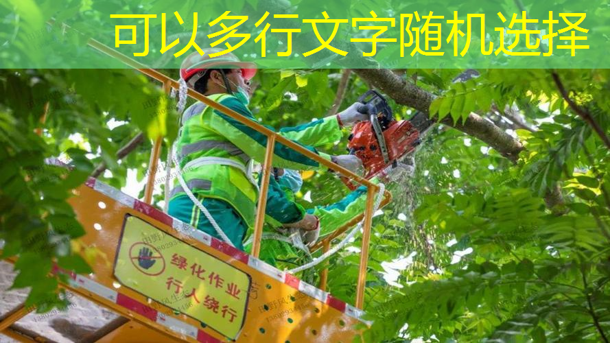 现代园林景观设计别墅