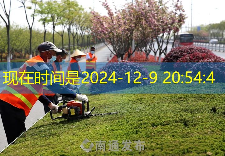 园林绿化工程苗木人苗木供应