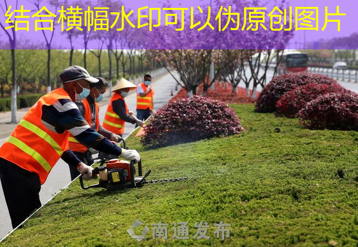 塘沽园林绿化处 李建
