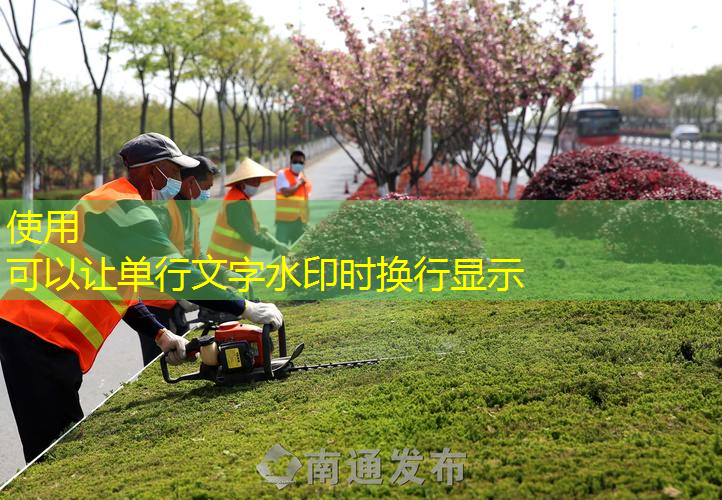 世界上最大绿化工程排名