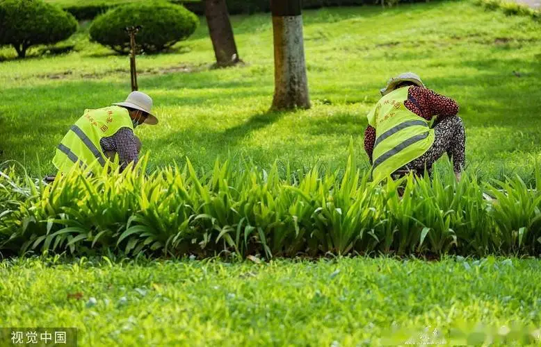 四川园林绿化工程质量验收规范