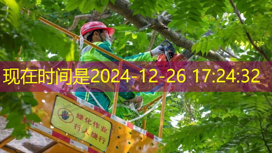 乌鲁木齐主要城市绿化