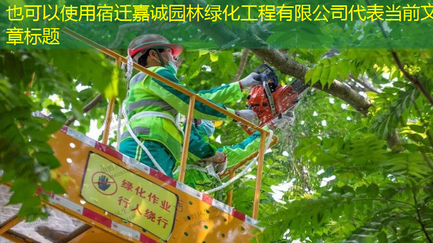宿迁嘉诚园林绿化工程有限公司