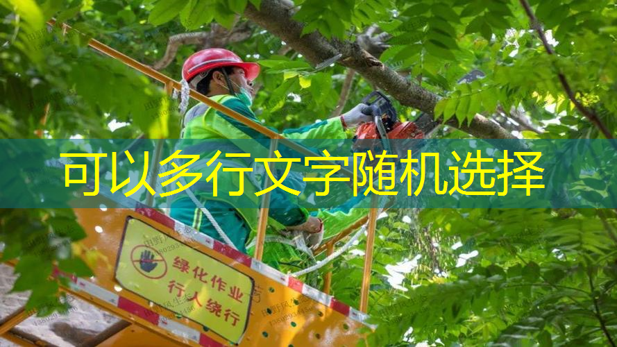 崇州市政绿化种植土单价