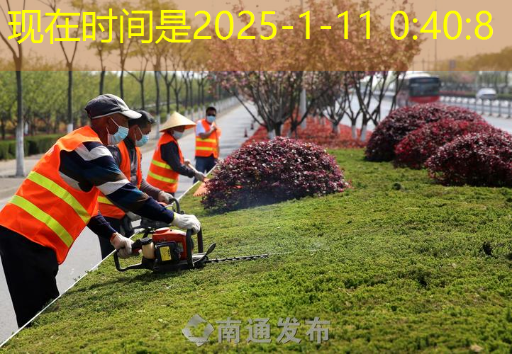 太原东北大街绿化工程中标