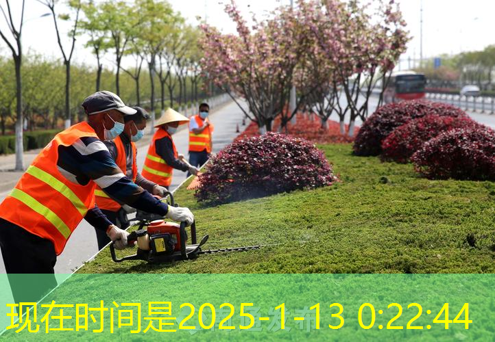 崇明园林绿化处招聘