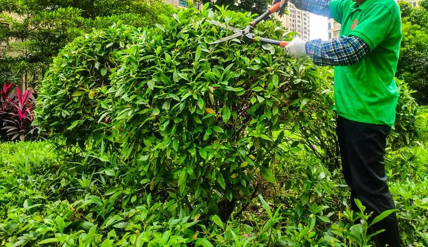 如何进行城市公交站的园林绿化施工？