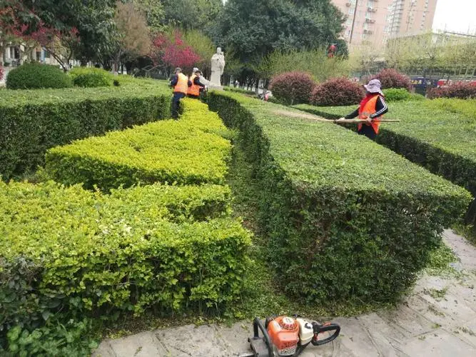 绿化工程谈话细节怎么写
