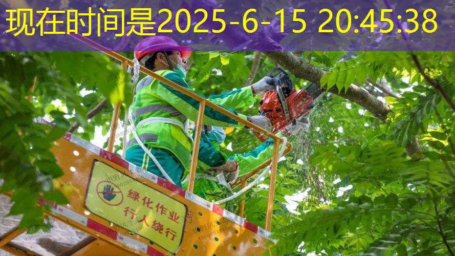 古典园林景观设计一亩多少钱