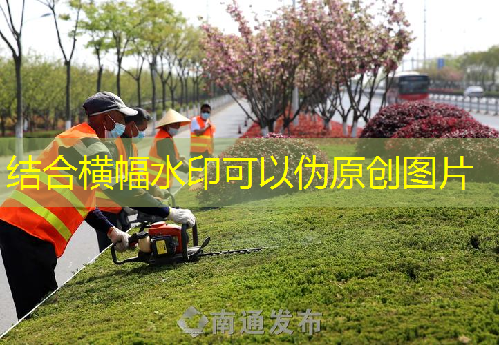 2栋别墅园林景观设计